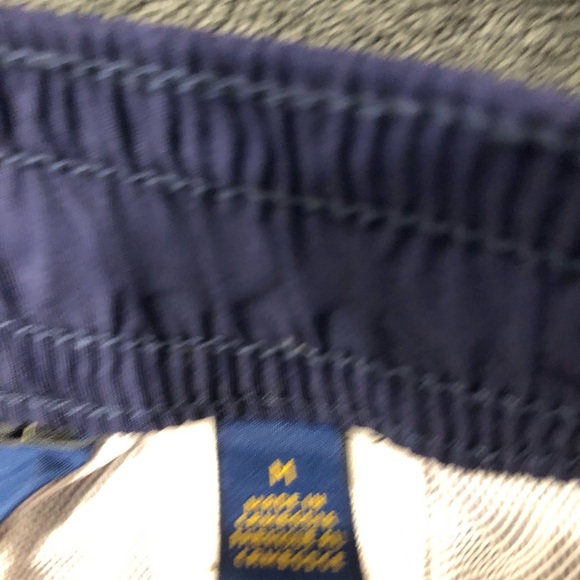 Ralph Lauren Blue and Green Striped Swim Trunks - Picture 4 of 11